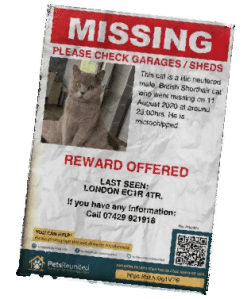 This image has an empty alt attribute; its file name is new-composition_2020-08-26-09-01-45.png