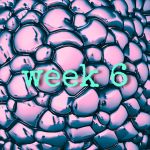 week-6-logo